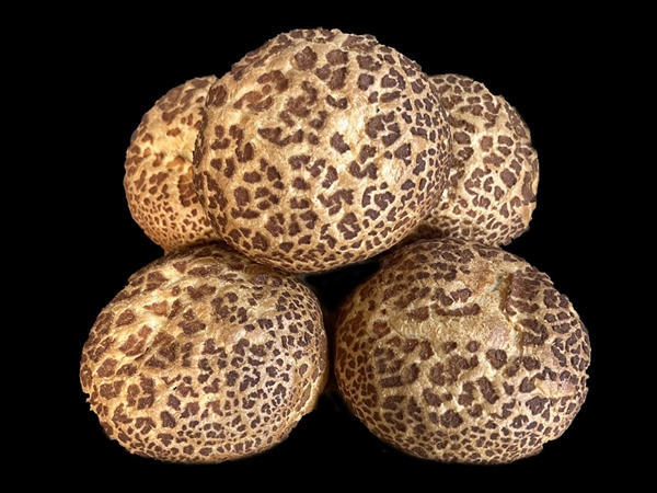 Krokante broodjes