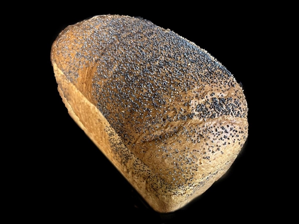 Maanzaadbruin