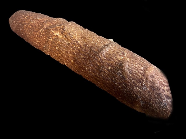 Tijgerstok